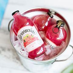宾得宝含气番石榴汁饮料（单口味6瓶装）375ml*6【包邮】GM29903431