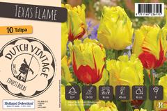 【荷兰皇家泰德花园】往日重现系列球根花卉种球小包装